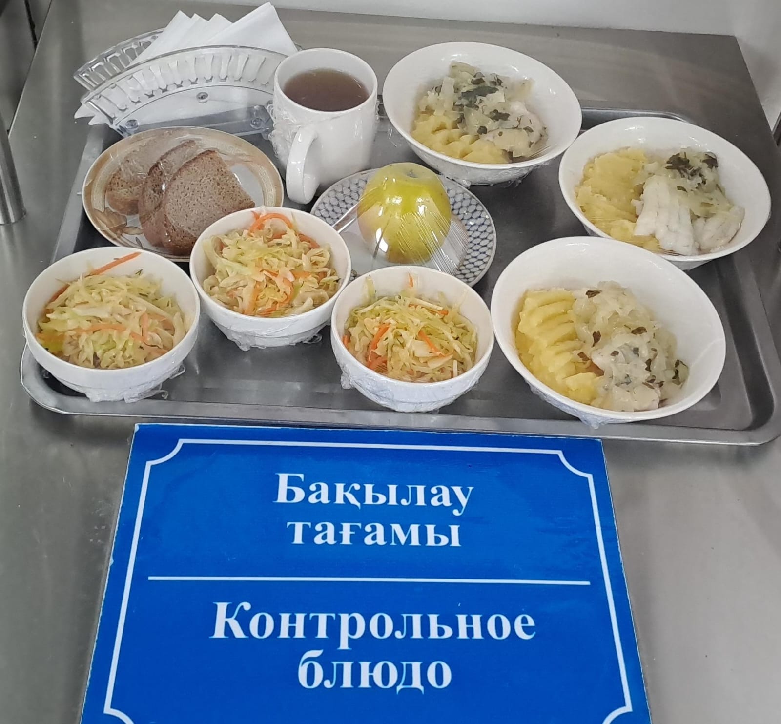 Күнделікті тегін тамақтану мәзірі (13.02.2025)