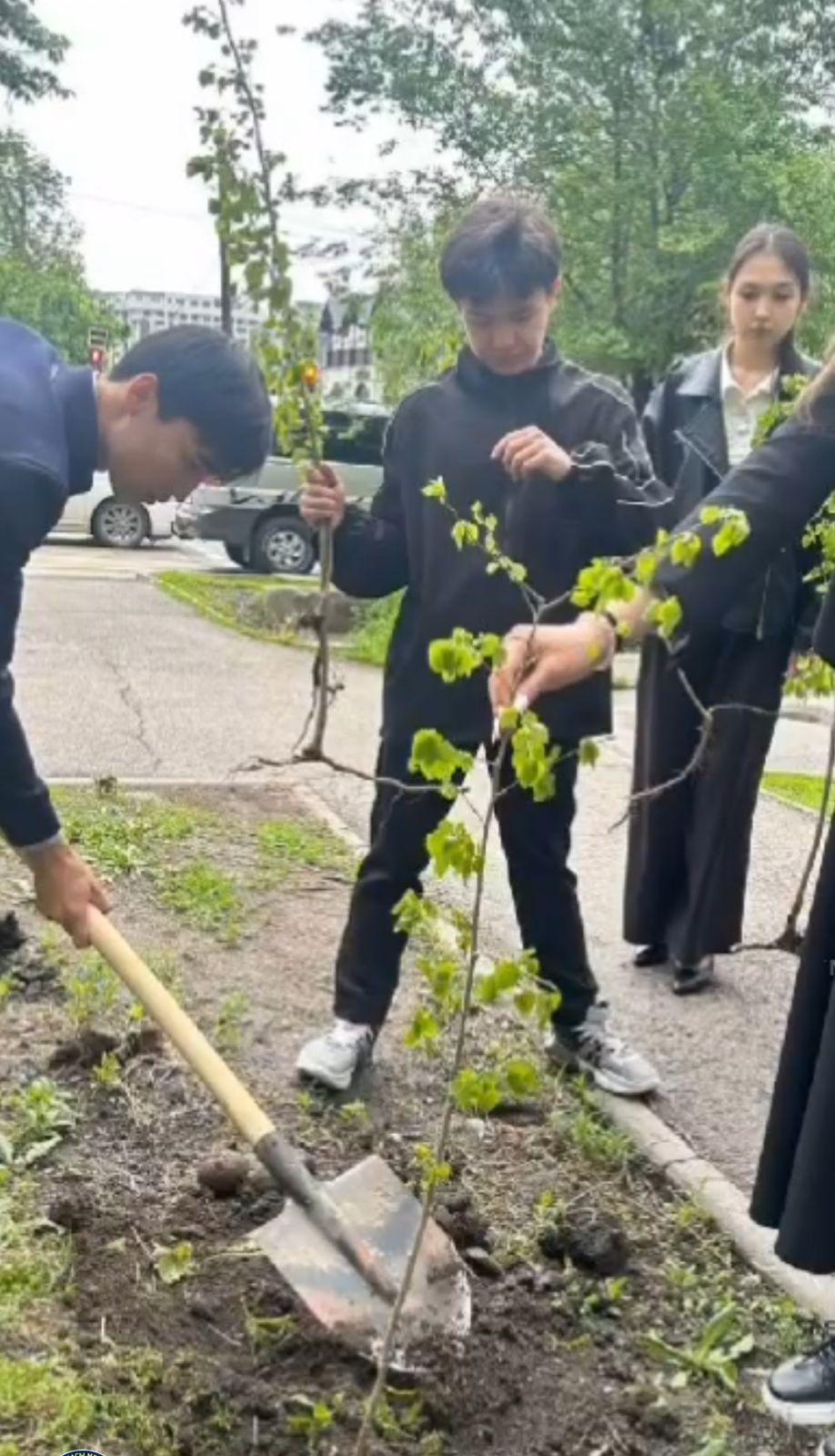 Бүгін қала мектептерінде ерекше іс-шара өтті — оқушылар, ата-аналар және ұстаздар бірігіп, мерекеге орай 35 ағаш отырғызды!